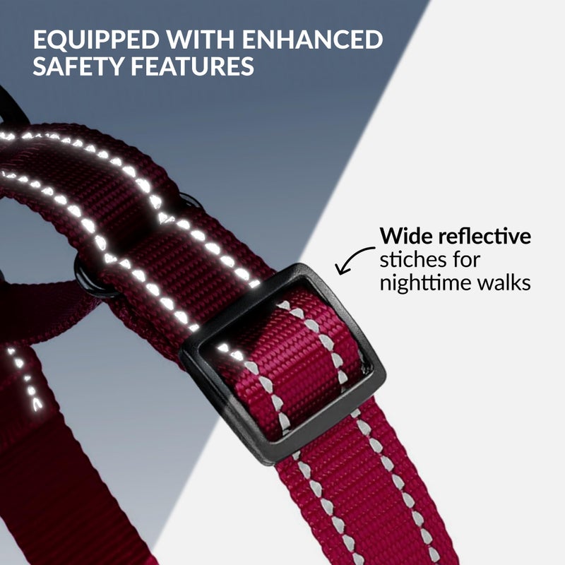 CollarDirect Reflective Martingale Dog Collar Nylon Heavy Duty Training Pet Collars for Small Medium Large Dogs Puppy Black Blue Mint Green Red Pink Purple Dark Red (S, Neck Size 11"-15", Dark Red) - Image 3